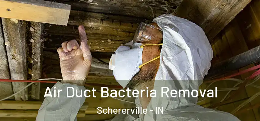 Air Duct Bacteria Removal Schererville - IN