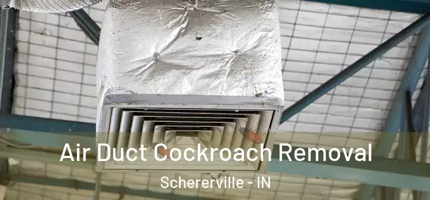 Air Duct Cockroach Removal Schererville - IN
