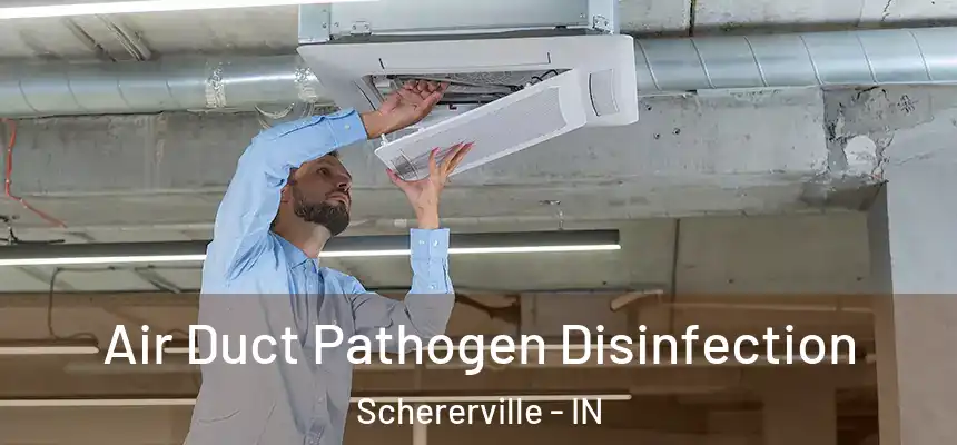 Air Duct Pathogen Disinfection Schererville - IN
