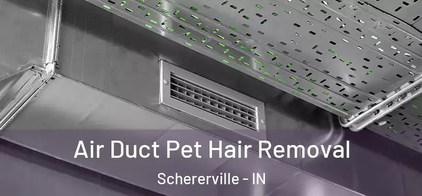 Air Duct Pet Hair Removal Schererville - IN