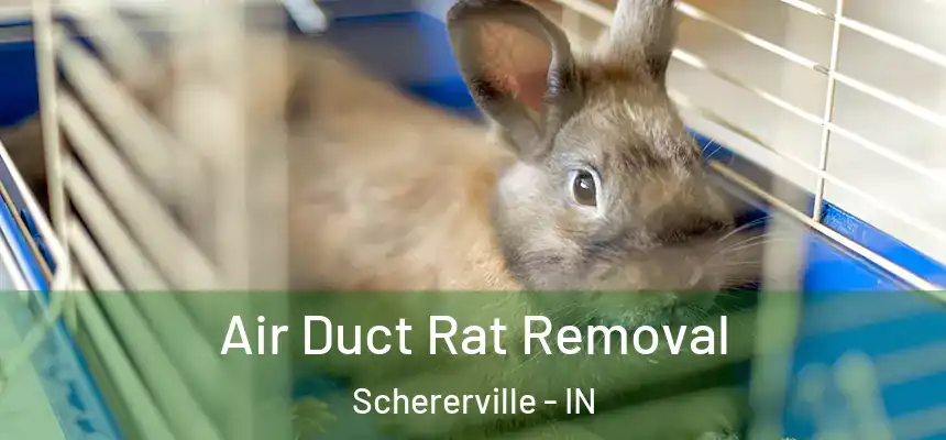  Air Duct Rat Removal Schererville - IN