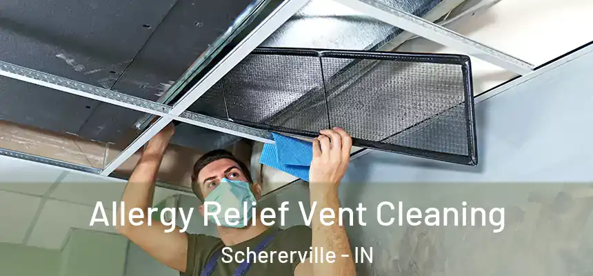 Allergy Relief Vent Cleaning Schererville - IN
