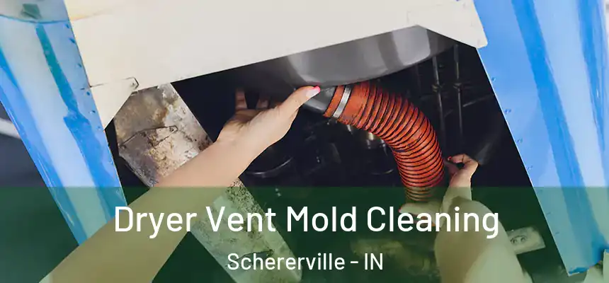 Dryer Vent Mold Cleaning Schererville - IN