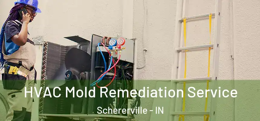  HVAC Mold Remediation Service Schererville - IN