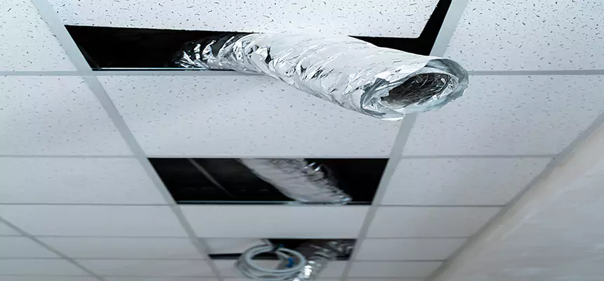 Affordable HVAC Sanitizing After Pest Removal in Schererville