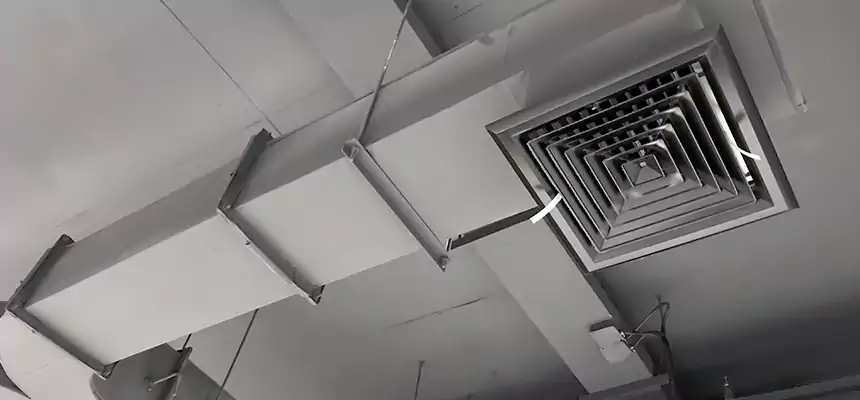 Restorative Allergy Relief Vent Cleaning – Coil, Blower & Housing Detail in Schererville