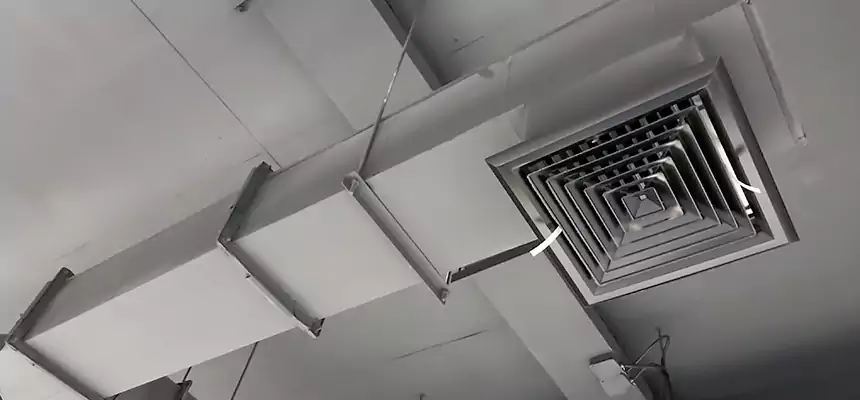 Our Rodent Droppings In Vents Services in Schererville, IN