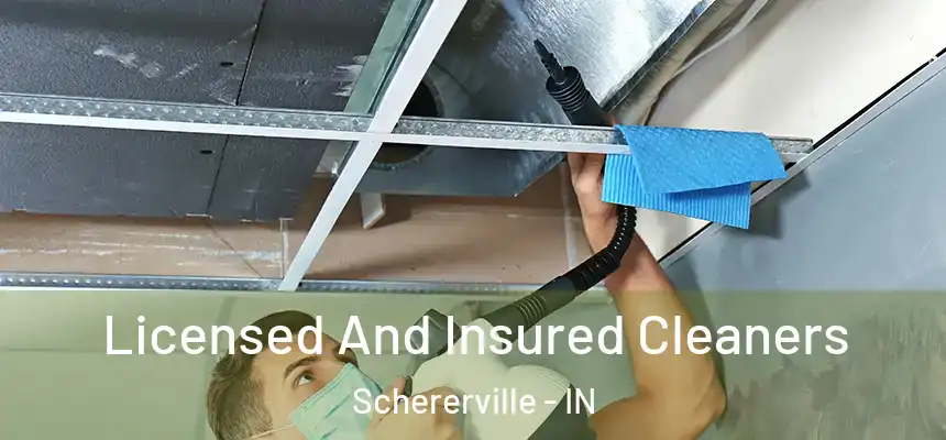 Licensed And Insured Cleaners Schererville - IN