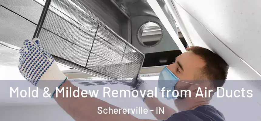  Mold & Mildew Removal from Air Ducts Schererville - IN