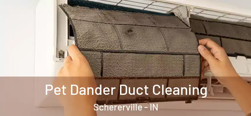  Pet Dander Duct Cleaning Schererville - IN