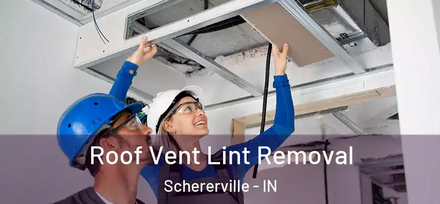  Roof Vent Lint Removal Schererville - IN
