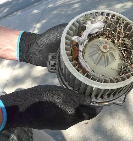 About Air Duct Mice Removal in Schererville, IN