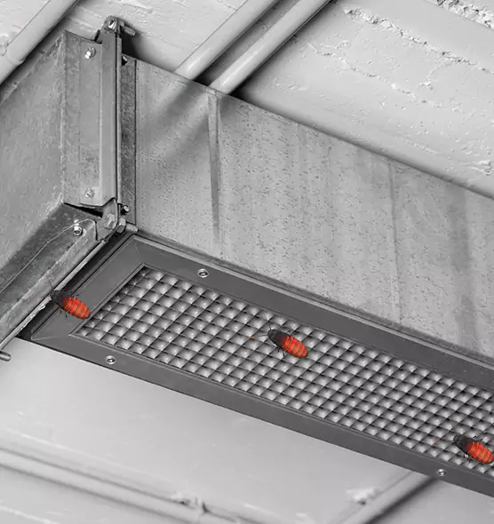 Affordable Insect Removal from Air Ducts in Schererville, IN