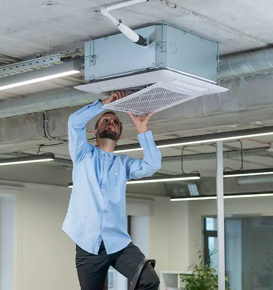 Advanced Rodent Droppings In Vents in Schererville, IN