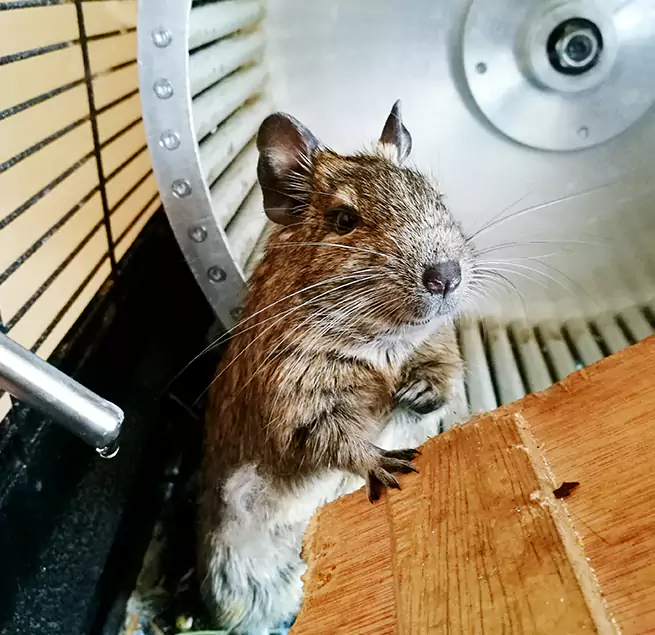 Why Homeowners & Businesses Trust Us Schererville, IN?